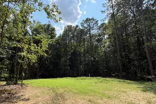333 Constellation Ct, Benson, NC 27504 - Photo 21
