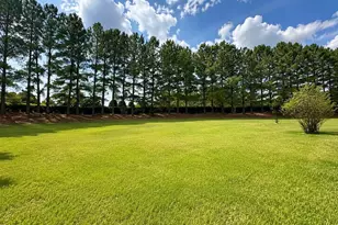 2401 Cattail Pond Dr, Zebulon, NC 27597 - Photo 33