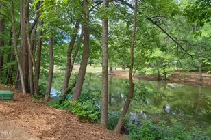 126 Lake Hollow Cir, Cary, NC 27513 - Photo 15
