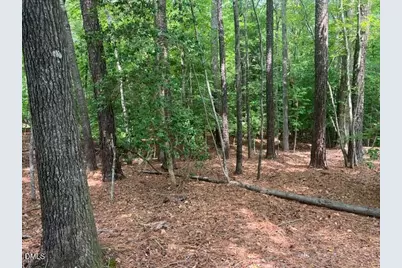 190 Buckaroo Drive, Louisburg, NC 27549 - Photo 3