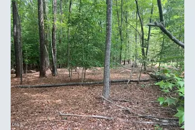 190 Buckaroo Drive, Louisburg, NC 27549 - Photo 5