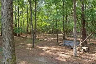 160 Baron Cir, Youngsville, NC 27596 - Photo 61
