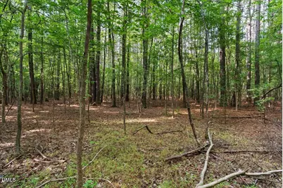 160 Baron Circle, Youngsville, NC 27596 - Photo 63