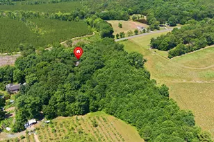 940 Nc Hwy 42, Goldston, NC 27252 - Photo 9