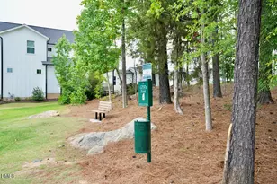 241 Millennium Dr, Pittsboro, NC 27312 - Photo 35
