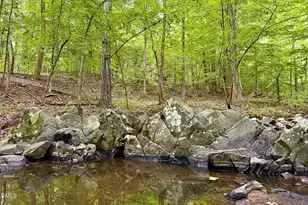 12751 NC-86, Prospect Hill, NC 27314 - Photo 51