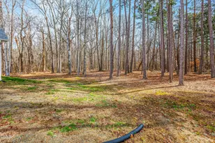 8395 White Oak Farm Rd, Cedar Grove, NC 27231 - Photo 19