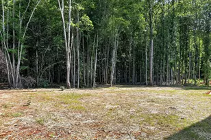 3205 Old US Hwy 64, Spring Hope, NC 27882 - Photo 27