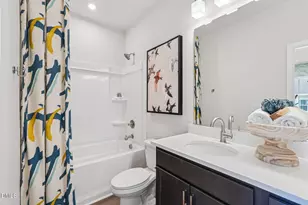 205 Solaire Aly, Wake Forest, NC 27587 - Photo 13