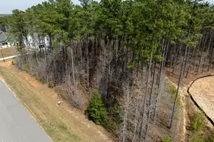 250 Whistlers Cove, Louisburg, NC 27549 - Photo 1