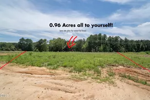 344 Barrow Mdws Dr, Zebulon, NC 27597 - Photo 5