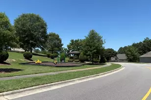 1108 Hadel Pl, Knightdale, NC 27545 - Photo 23