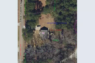 105 Tree Farm Lane, Angier, NC 27501 - Photo 3