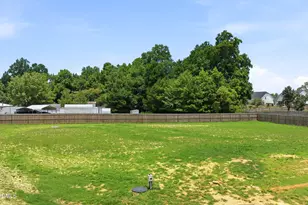 118 W Sand Luggs Ct, Angier, NC 27501 - Photo 43