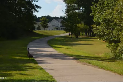 523 Catfish Lake Drive, Fuquay Varina, NC 27526 - Photo 53