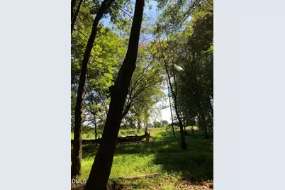0 Cone Road, Middlesex, NC 27557 - Photo 13