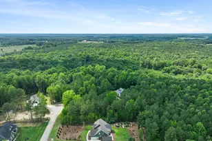270 Whistlers Cv, Louisburg, NC 27549 - Photo 59