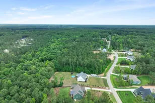 270 Whistlers Cv, Louisburg, NC 27549 - Photo 59
