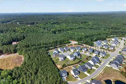 3651 Horton Hill Drive, New Hill, NC 27562 - Photo 5
