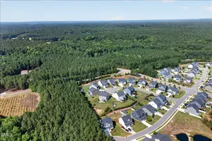 3651 Horton Hill Dr, New Hill, NC 27562 - Photo 5