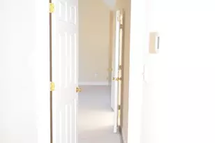 311 Capistrane Dr, Cary, NC 27519 - Photo 23