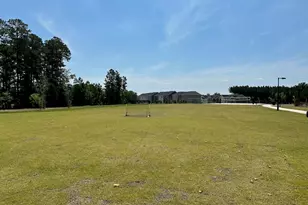 328 Carolina Spgs Blvd, Apex, NC 27539 - Photo 29