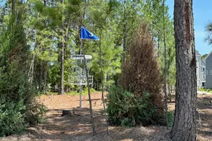 328 Carolina Spgs Blvd, Apex, NC 27539 - Photo 31