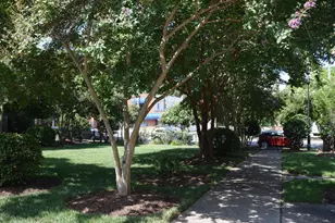 720 N Person St, Raleigh, NC 27604 - Photo 23