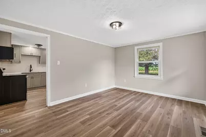 176 Briggs Road, Hurdle Mills, NC 27541 - Photo 5