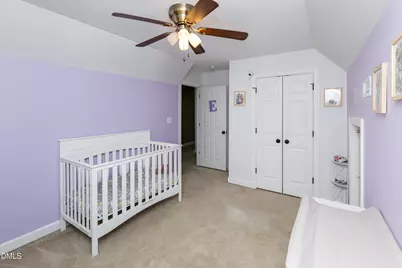 410 Raeford Road, Angier, NC 27501 - Photo 23