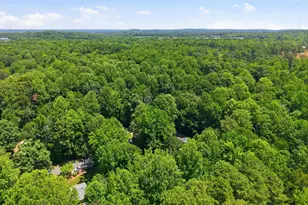 110 Twisted Ct, Hillsborough, NC 27278 - Photo 33