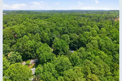110 Twisted Court, Hillsborough, NC 27278 - Photo 33