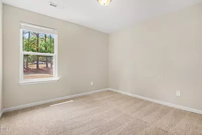 905 Woodland Road, Creedmoor, NC 27522 - Photo 17