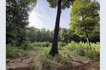 Lot 1 Orange Grv Street, Hillsborough, NC 27278 - Photo 1