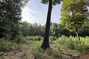 Lot 1 Orange Grv St, Hillsborough, NC 27278 - Photo 1