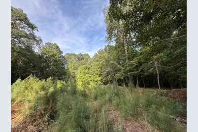 Lot 1 Orange Grv Street, Hillsborough, NC 27278 - Photo 3