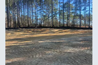 25 Blackhorn Court, Pittsboro, NC 27312 - Photo 3
