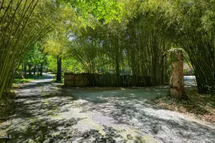 2927 Longpine Rd, Burlington, NC 27215 - Photo 59