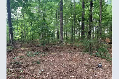 129 Green Drive, Morrisville, NC 27560 - Photo 3