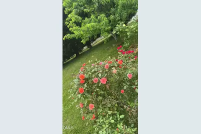 610 Hastings Road, Mebane, NC 27302 - Photo 39