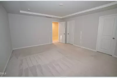 150 Ivy Vine Way, Raleigh, NC 27610 - Photo 39