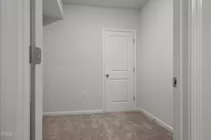 229 Daisy Grove Ln, Holly Springs, NC 27540 - Photo 25