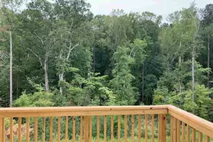 229 Daisy Grove Ln, Holly Springs, NC 27540 - Photo 51