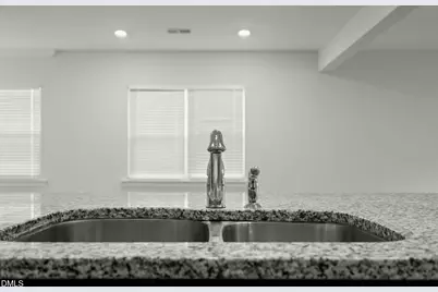 229 Daisy Grove Lane, Holly Springs, NC 27540 - Photo 15