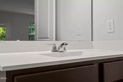 229 Daisy Grove Lane, Holly Springs, NC 27540 - Photo 23