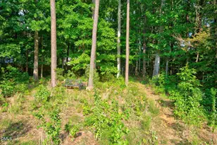 68 Mystic Ln, Pittsboro, NC 27312 - Photo 71
