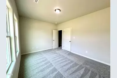 51 Huckleberry Bush Lane, Princeton, NC 27569 - Photo 19