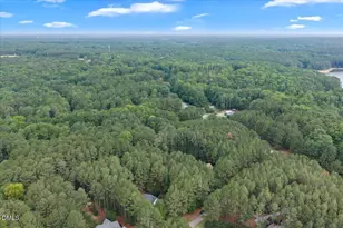 7233 Loblolly Pine Dr, Raleigh, NC 27614 - Photo 67