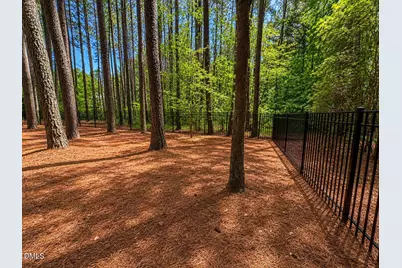 7233 Loblolly Pine Drive, Raleigh, NC 27614 - Photo 7