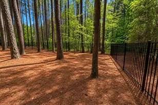 7233 Loblolly Pine Dr, Raleigh, NC 27614 - Photo 7